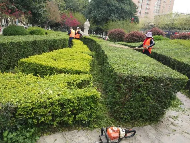 绿化工程防寒时间