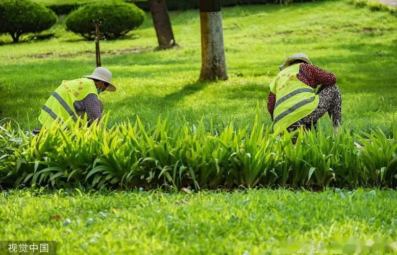 绿色、智能与便捷：大连城市规划的可持续之路